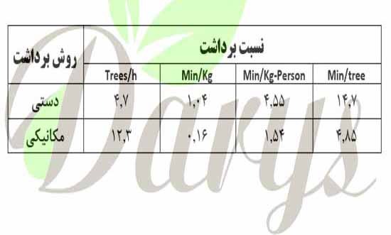 قیمت روز مغز پسته