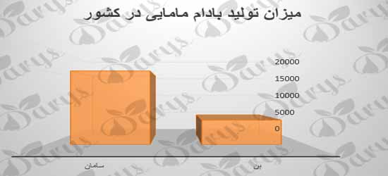 صادرات بادام مامایی